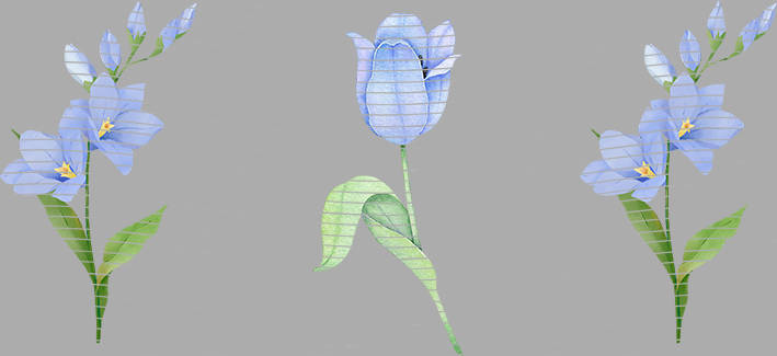 16oz Element-EN-1159